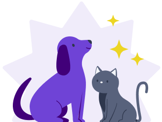 assurance animaux leocare
