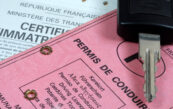 permis conduire rose