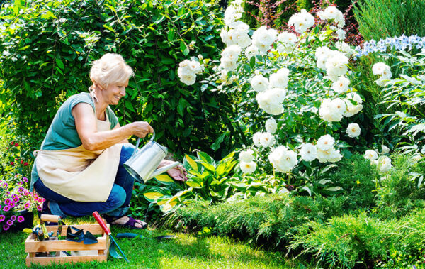 dame jardin