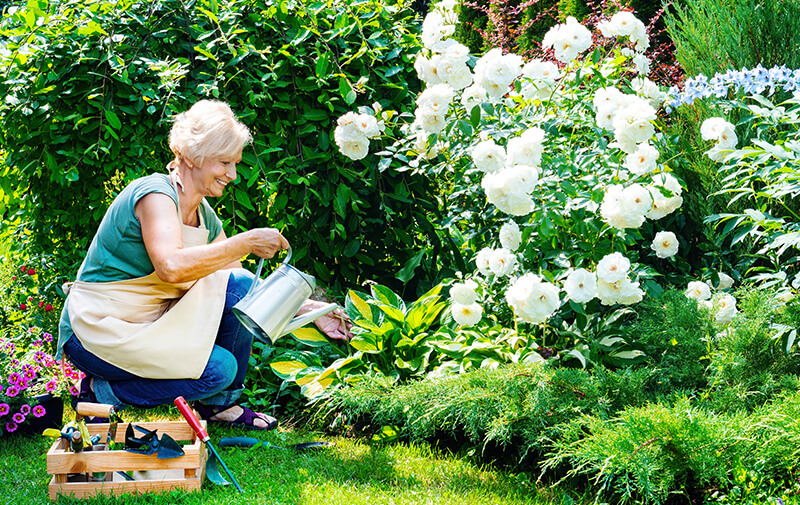 dame jardin